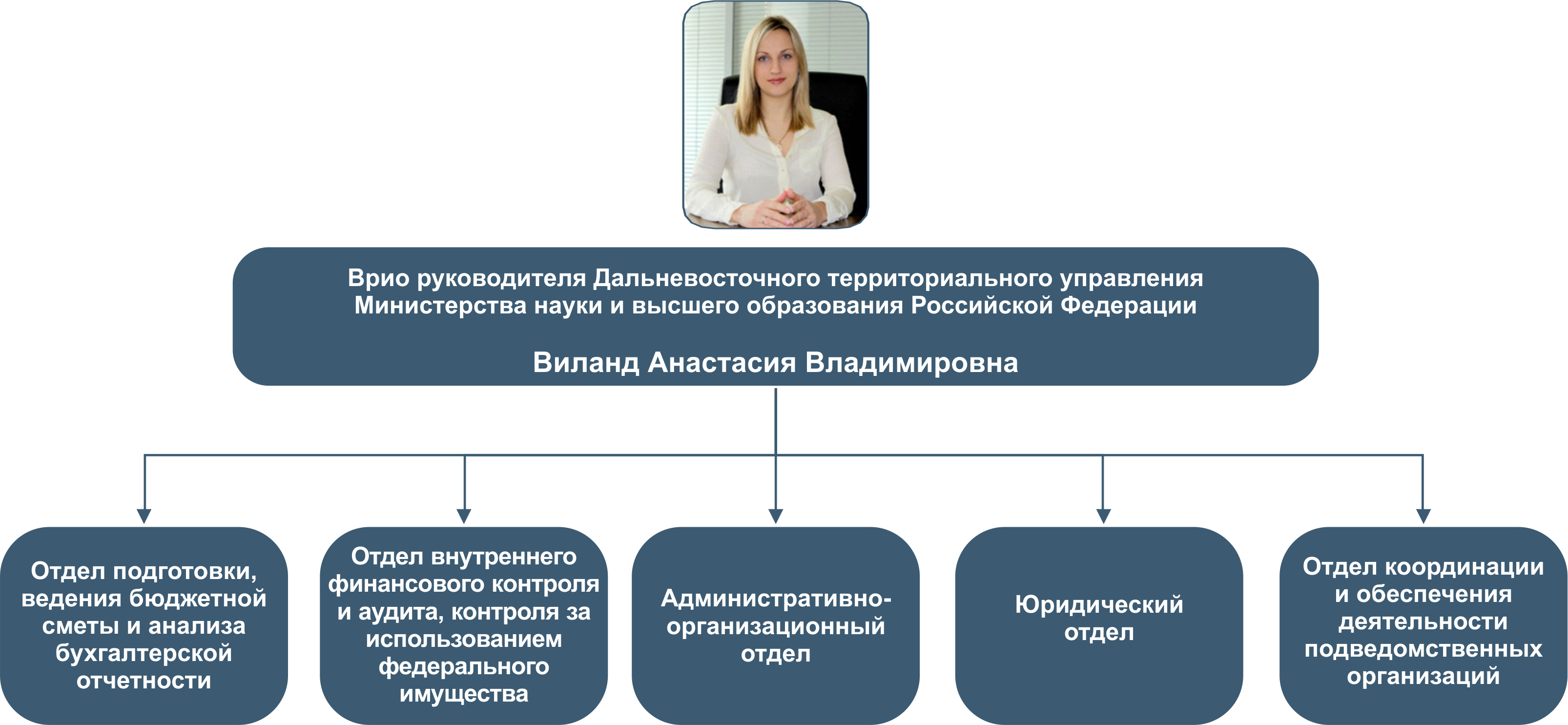 Управление в высшем образовании