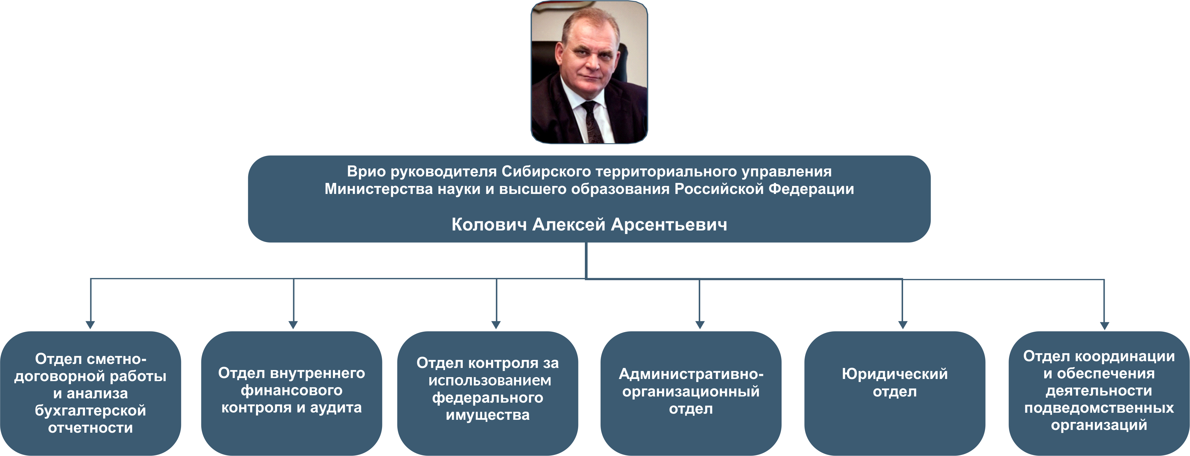 Территориальный отдел территориального управления. Структура Министерства образования и науки РФ таблица. Министерство образования и науки структура схема.