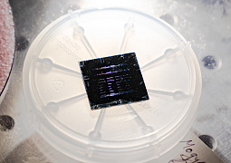 Российские ученые разработали неразрушающий метод контроля фотонных микросхем