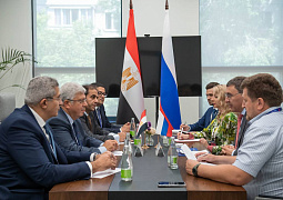 Россия и Египет обсудили планы по укреплению научно-образовательного сотрудничества