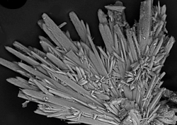 Впервые на территории России найден редкий минерал рапидкрикит 