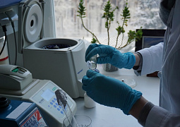 Биолюминесцентные тесты откроют дорогу наноматериалам в медицину