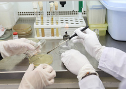 Российские ученые выяснили, что применение наноаэрозольной формы лекарств поможет в лечении рака легких 