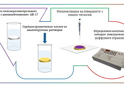 Российские ученые разработали экспресс-тесты для обнаружения в воде салициловой, малоновой и аскорбиновой кислот