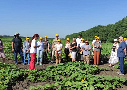 Участники Вавиловской школы молодых ученых изучат приоритетные для продовольственной безопасности страны сельхозкультуры